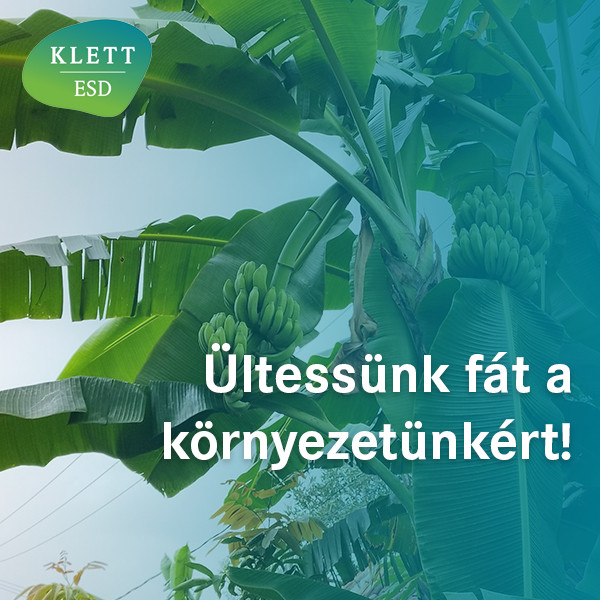 Képzések ESD