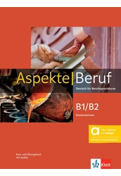 Aspekte Beruf B1/B2 Brückenelement - Hybride Ausgabe allango