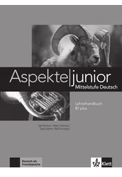 Aspekte junior B1 plus Lehrerhandbuch