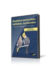 Díszállatok akváriumban kalitkában terráriumban