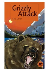 Grizzly Attack