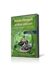 Madárhangok erdőn mezőn