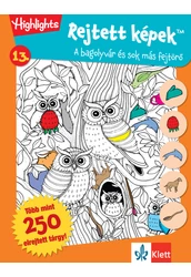 Rejtett képek 13.  Bagolyvár és sok más fejtörő