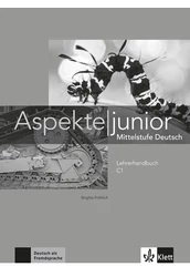 Aspekte junior C1 Lehrerhandbuch