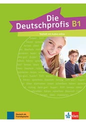 Die Deutschprofis B1 Testheft