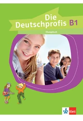 Die Deutschprofis B1 Übungsbuch