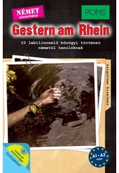 PONS Gestern am Rhein