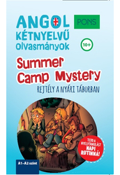 PONS Summer Camp Mystery