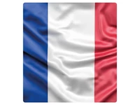 Francia olvasmányok