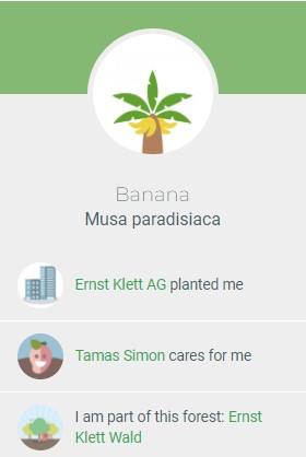 Ültessünk fát a környezetünkért!