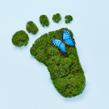 Fenntarthatóság az osztályteremben - Mindfulness - Ökológiai lábnyom