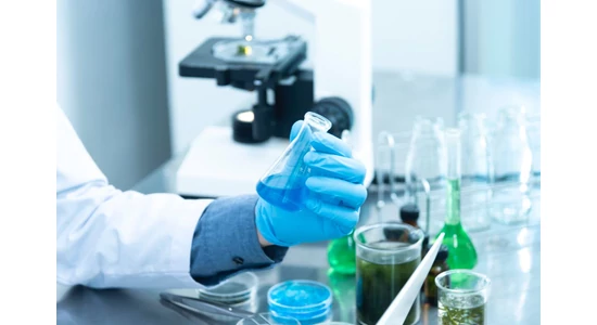 Letölthető érettségi feladatsorok és megoldások - Biológia