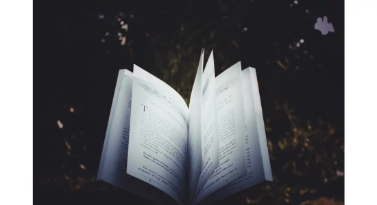 Digitális kompetenciamérés példafeladatok - Szövegértés 4-11. évfolyam