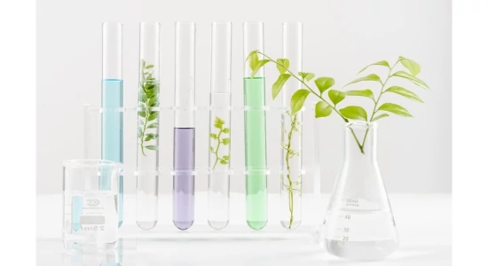 Digitális kompetenciamérés példafeladatok - Természettudomány 6-11. évfolyam