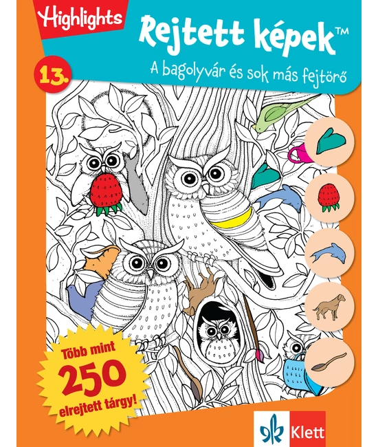 Rejtett képek 13.  Bagolyvár és sok más fejtörő