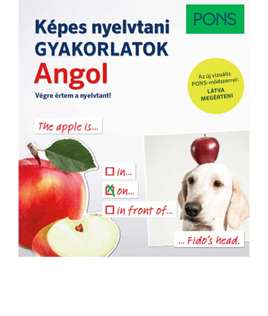 PONS Képes nyelvtani gyakorlatok Angol