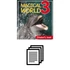 Magical World 3. Tanmenet